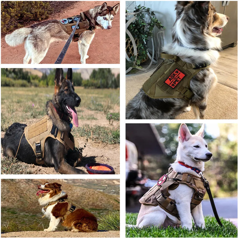 Coleira Estilo Tática Militar para Cães