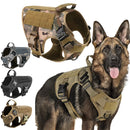 Military Tactical Style Collar for Dogs