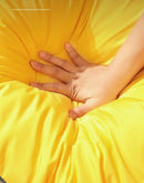 Cama Pet Americana 2023